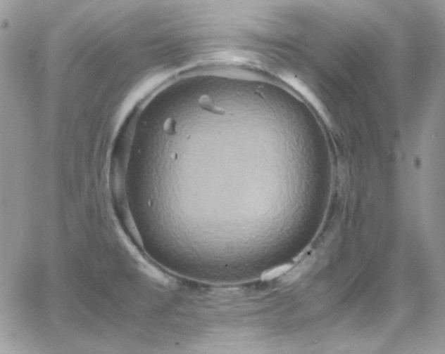 X0000066521477200603201311