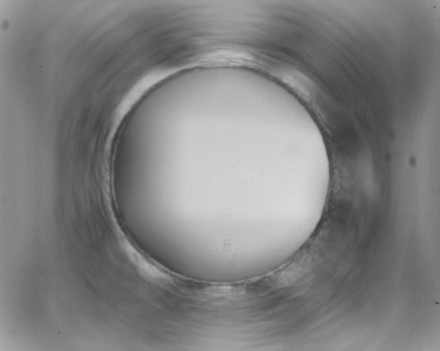 X0000066521478200603201311