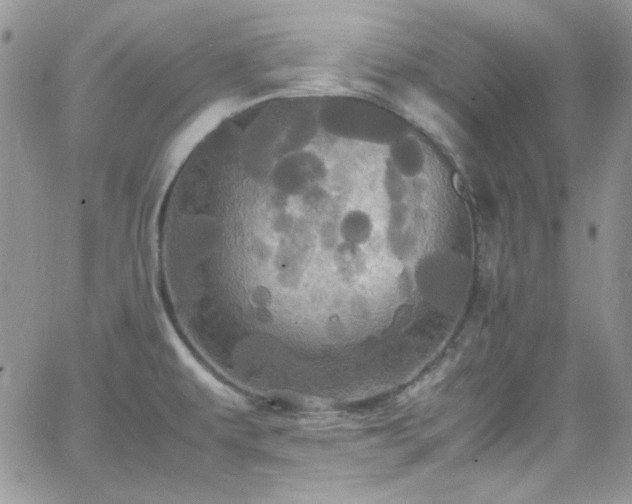 X0000066521479200603201311