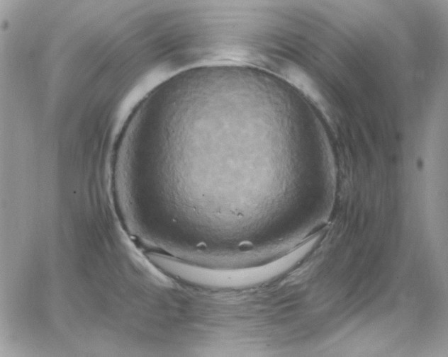 X0000066521480200603201311