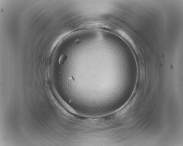 X0000066521481200603201311