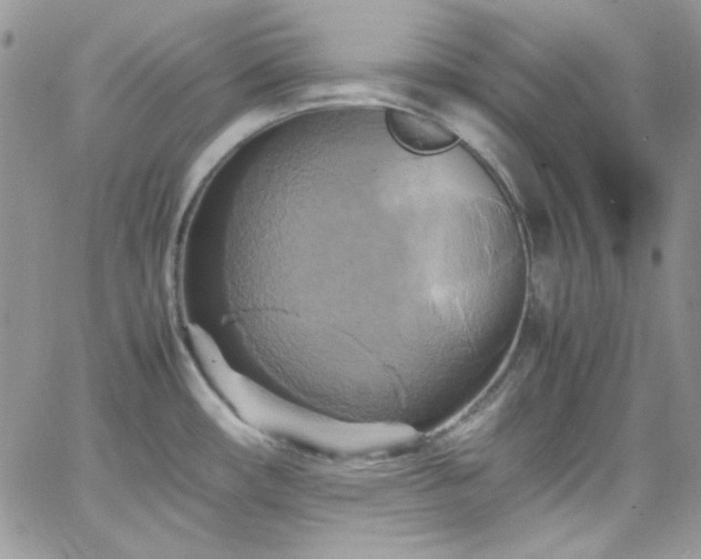 X0000066521482200603201311