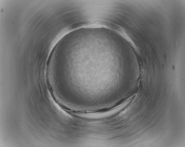 X0000066521484200603201311