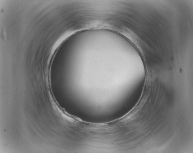 X0000066521486200603201311