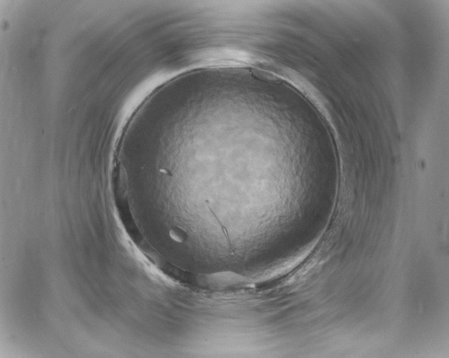 X0000066521488200603201311