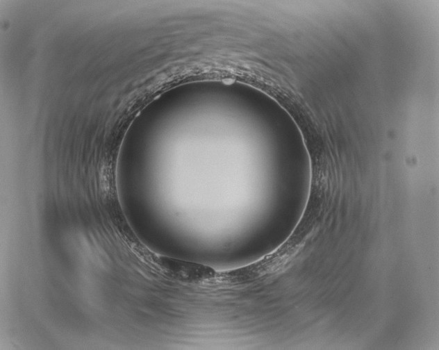 X0000066521490200603201310