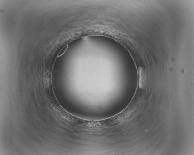 X0000066521491200603201310