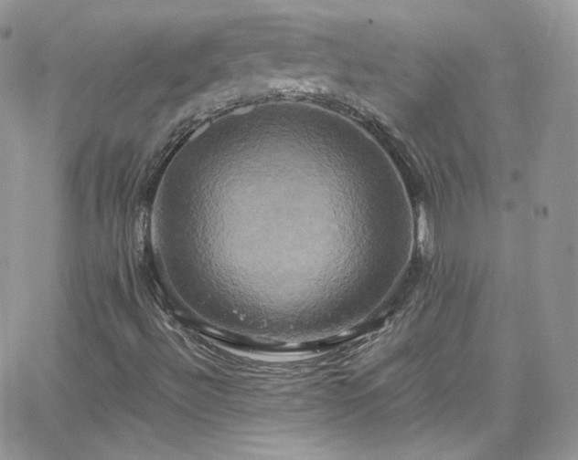 X0000066521492200603201310