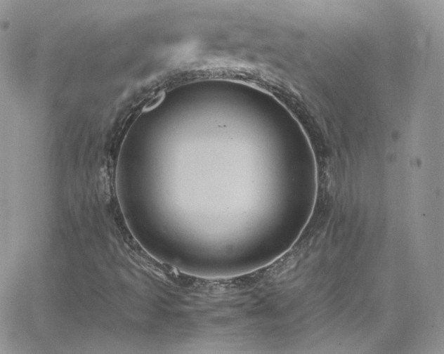 X0000066521493200603201310