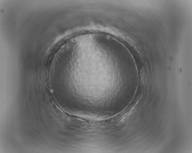 X0000066521494200603201310