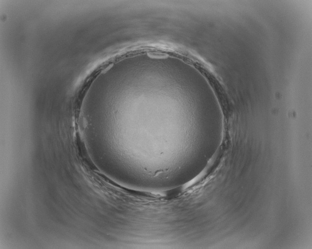 X0000066521496200603201310