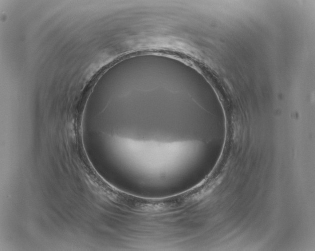 X0000066521497200603201310