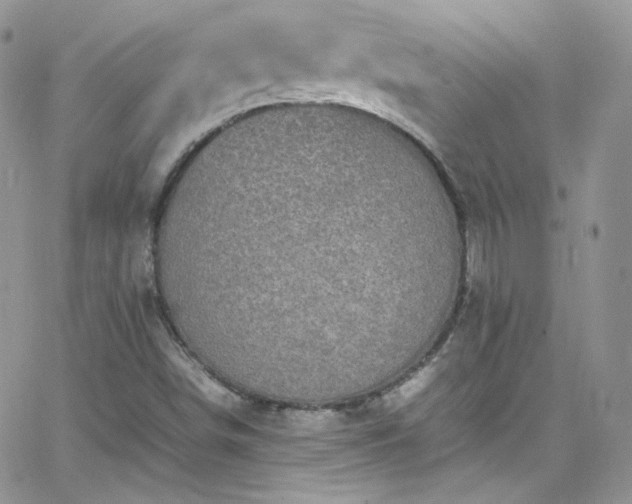 X0000066521498200603201310