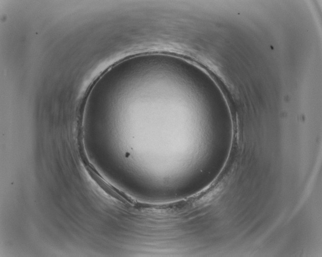 X0000066521500200603201310