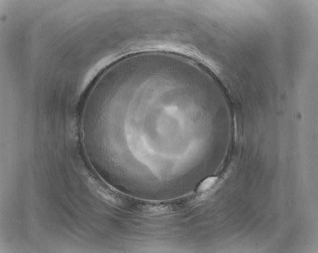 X0000066521501200603201310