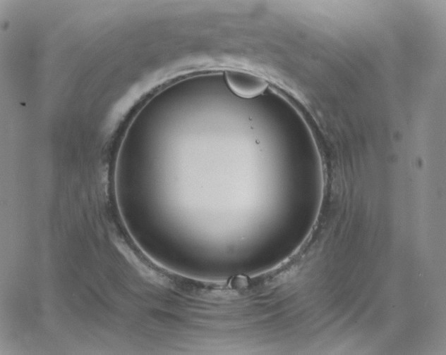 X0000066521503200603201310