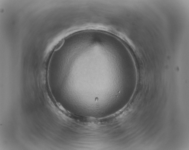 X0000066521504200603201310