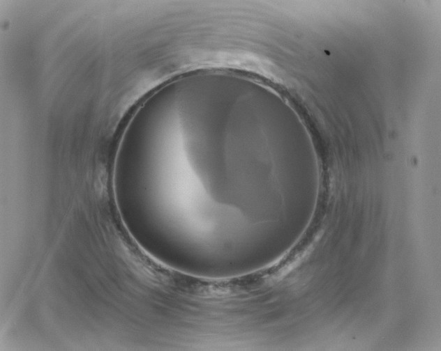 X0000066521505200603201310