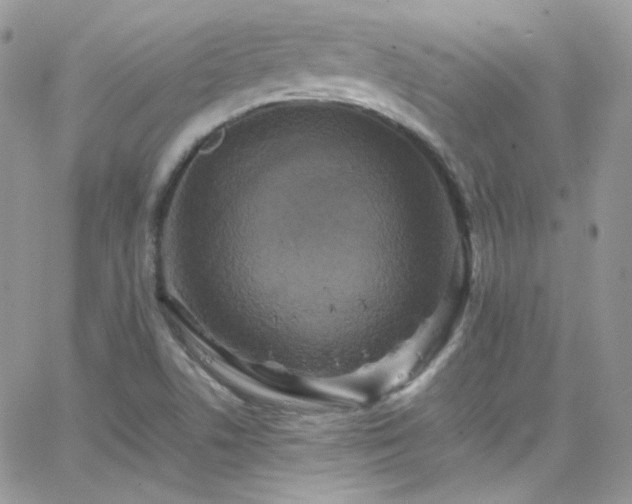 X0000066521506200603201310