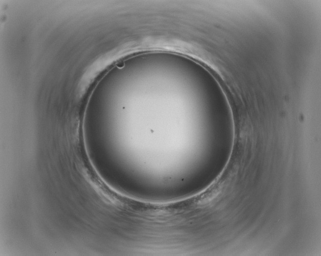 X0000066521507200603201310