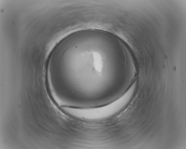 X0000066521508200603201310