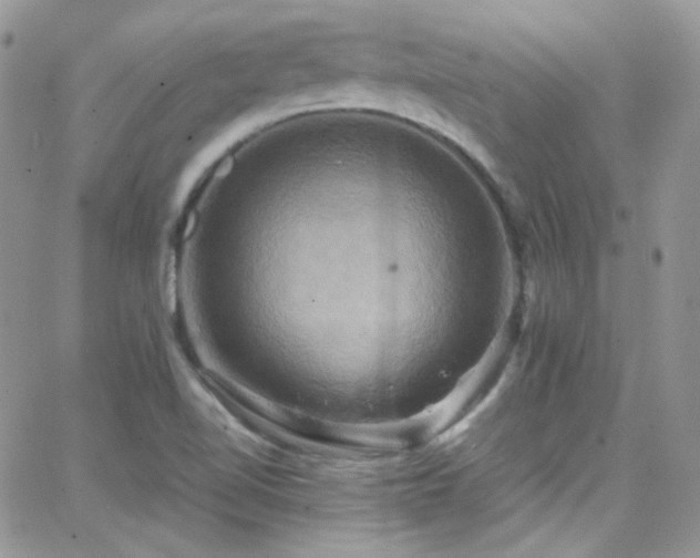 X0000066521510200603201310