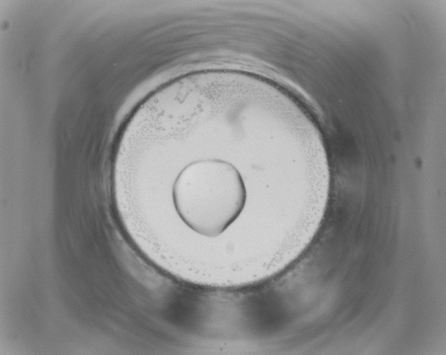 X0000066521514200603201310