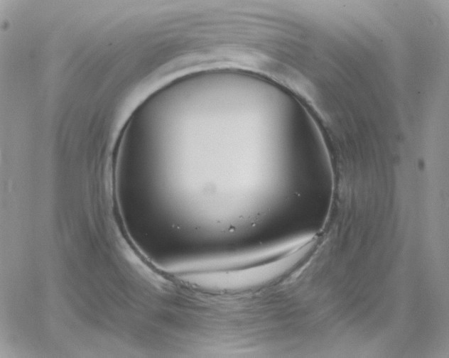 X0000066521516200603201310