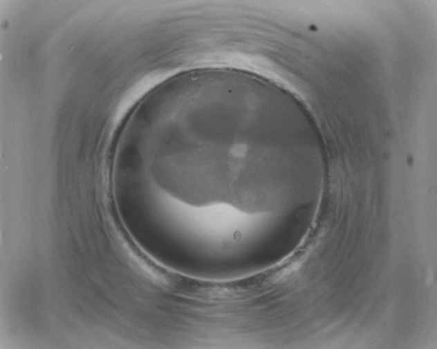 X0000066521517200603201310