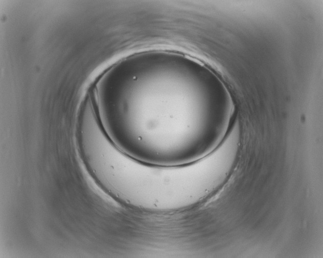 X0000066521518200603201310