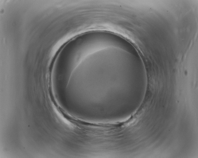 X0000066521519200603201310