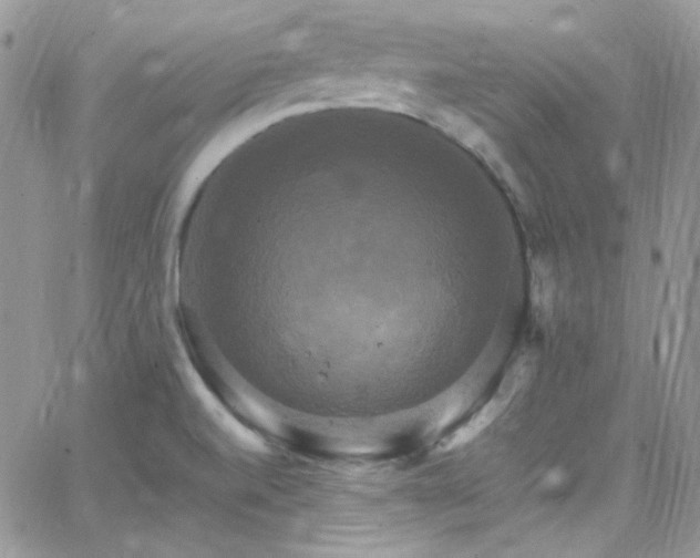 X0000066521520200603201310