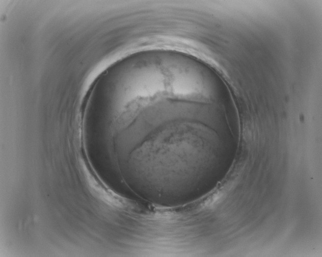 X0000066521522200603201310