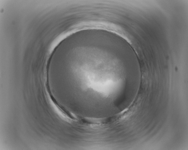 X0000066521523200603201310