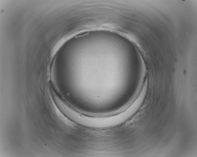 X0000066521524200603201310