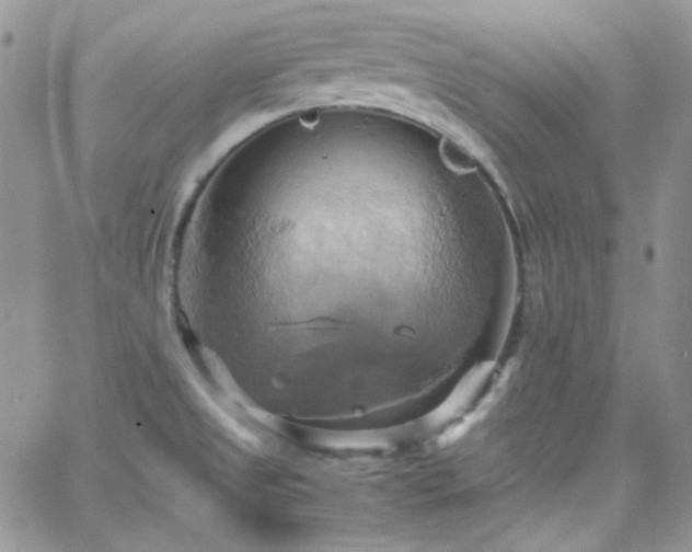 X0000066521525200603201310