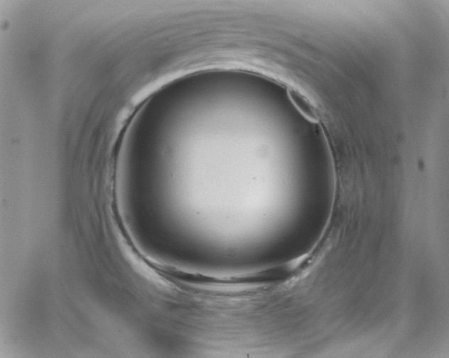 X0000066521526200603201310