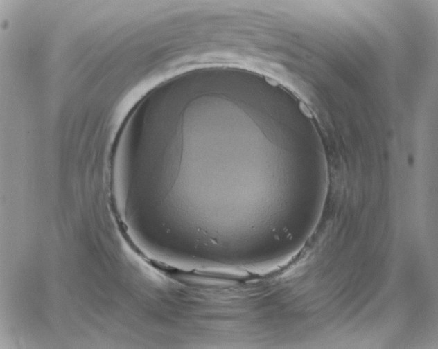 X0000066521527200603201311