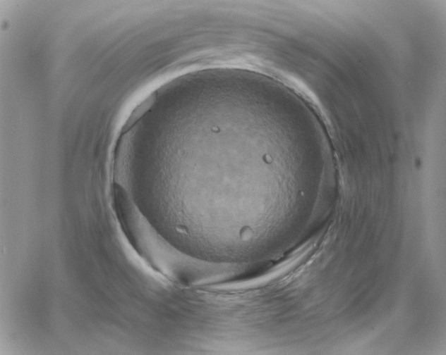 X0000066521528200603201311