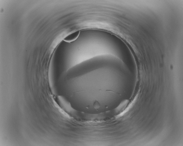 X0000066521529200603201311