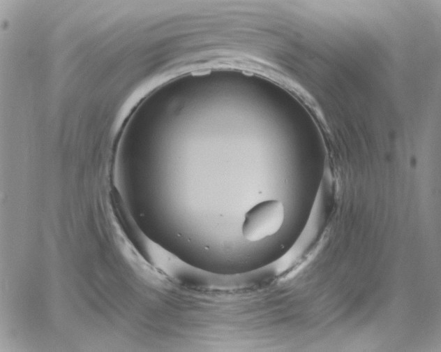 X0000066521530200603201311