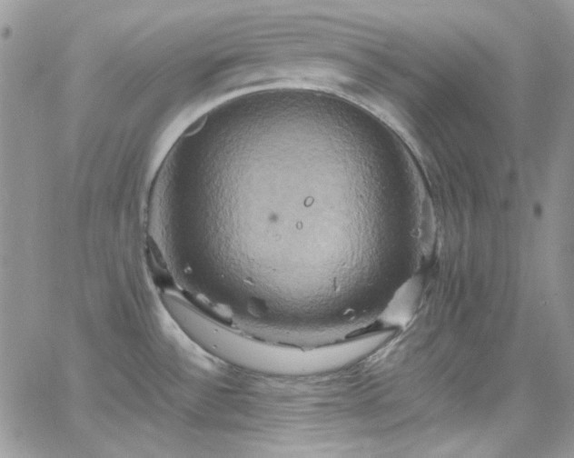 X0000066521532200603201311