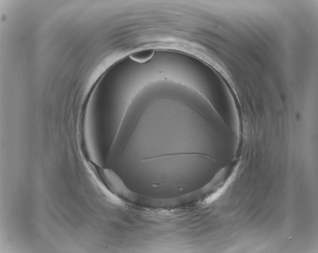 X0000066521533200603201311