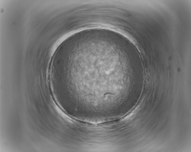 X0000066521535200603201311