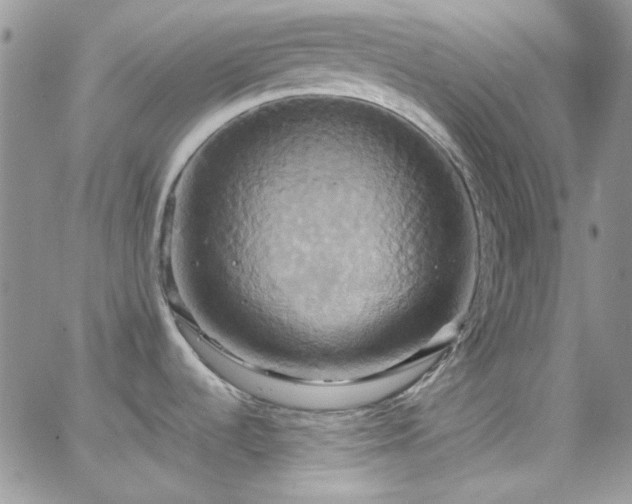 X0000066521536200603201311