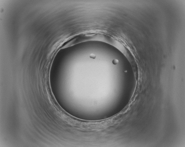 X0000066520001200603241348