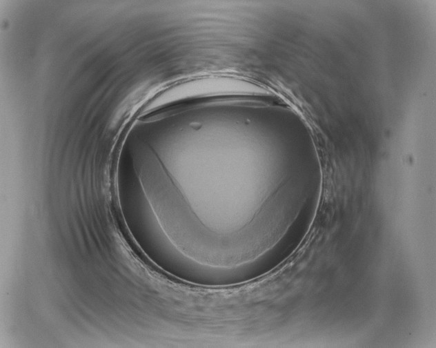 X0000066520002200603241348