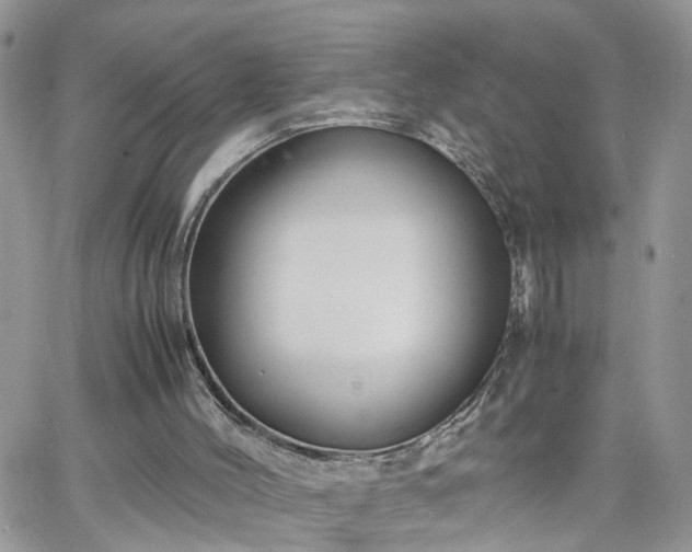 X0000066520004200603241348