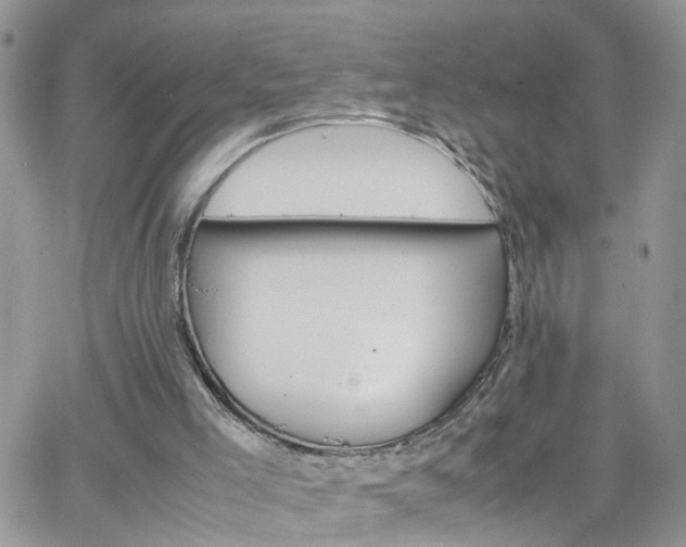 X0000066520005200603241348