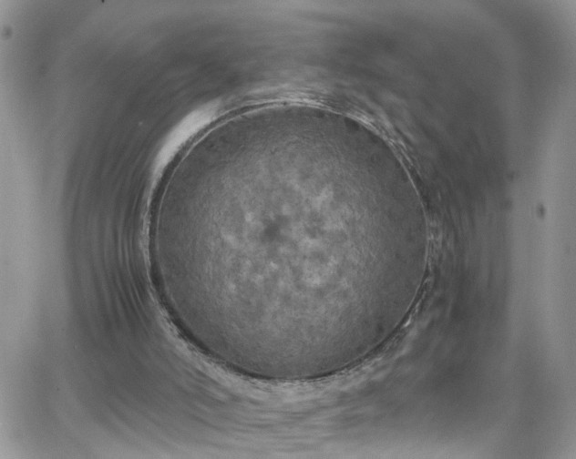 X0000066520006200603241348